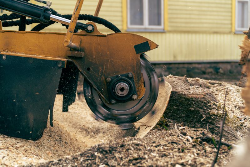Commercial Stump Grinding in Bucks County, PA
