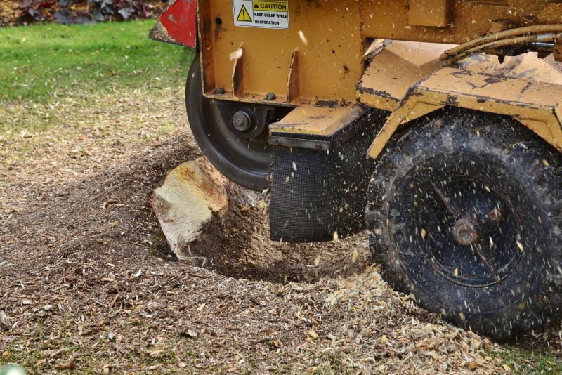 Stump Grinding Equipment Ready