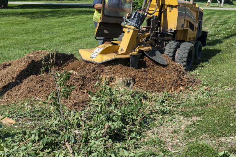 Grinding a Large Tree Stump