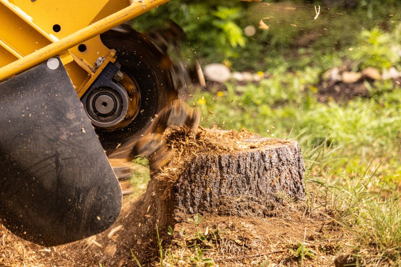 Tree Stump Removal