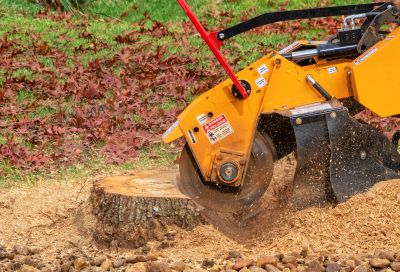 Professional Stump Grinding Equipment