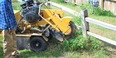 Enhance Curb Appeal